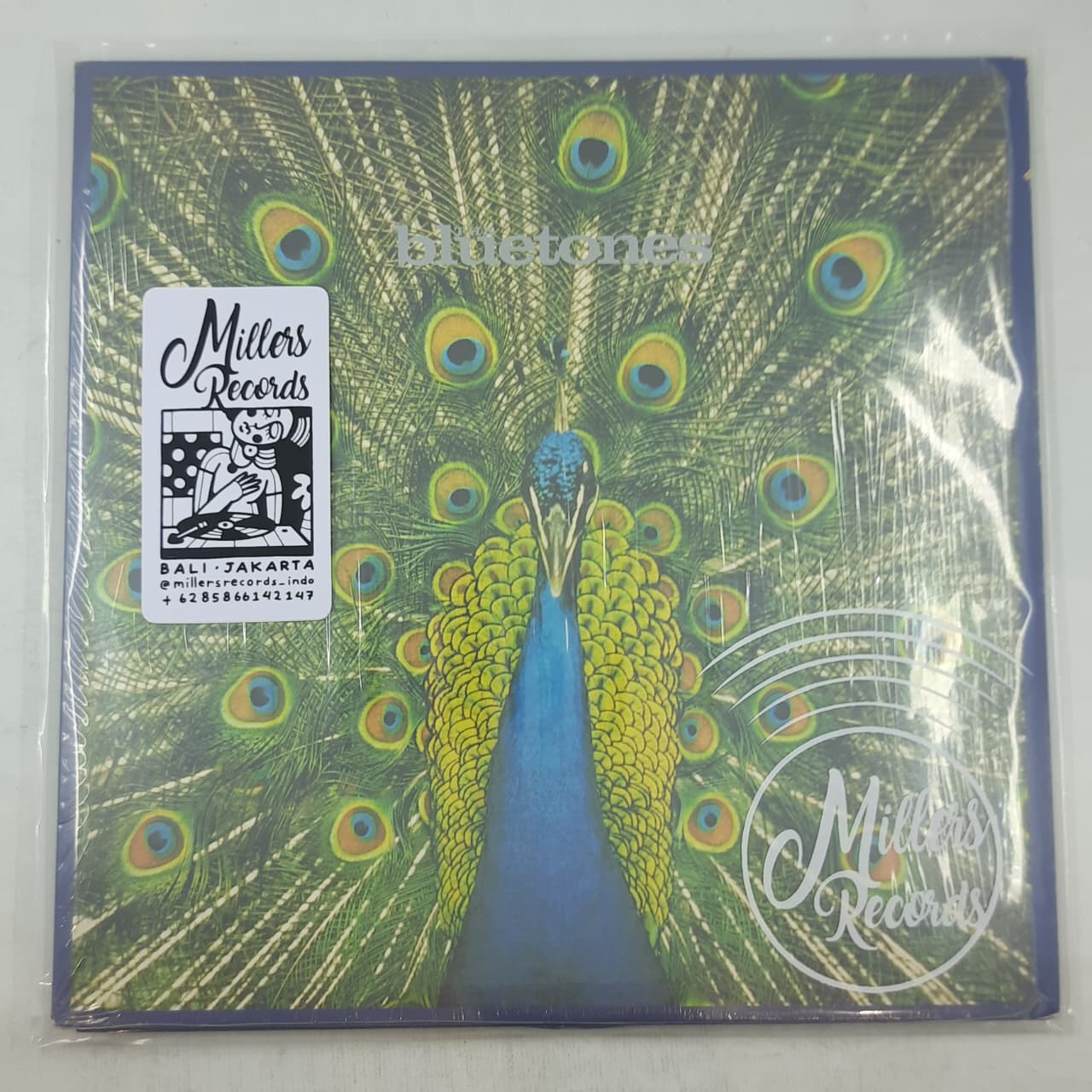 The Bluetones – Expecting To Fly (VINYL / USED)
