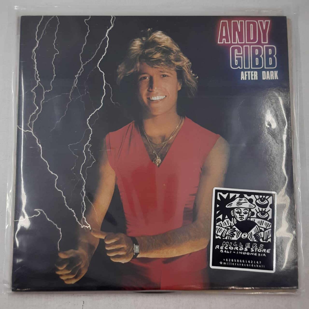 Andy Gibb – After Dark (VINYL / USED)