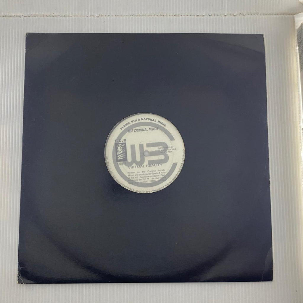 The Criminal Minds – Baptised By Dub (VINYL / USED)
