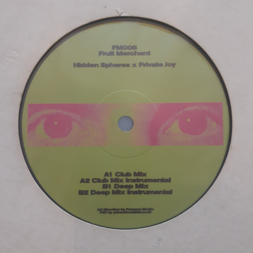 Hidden Spheres X Private Joy – Hold On Me (VINYL / USED)