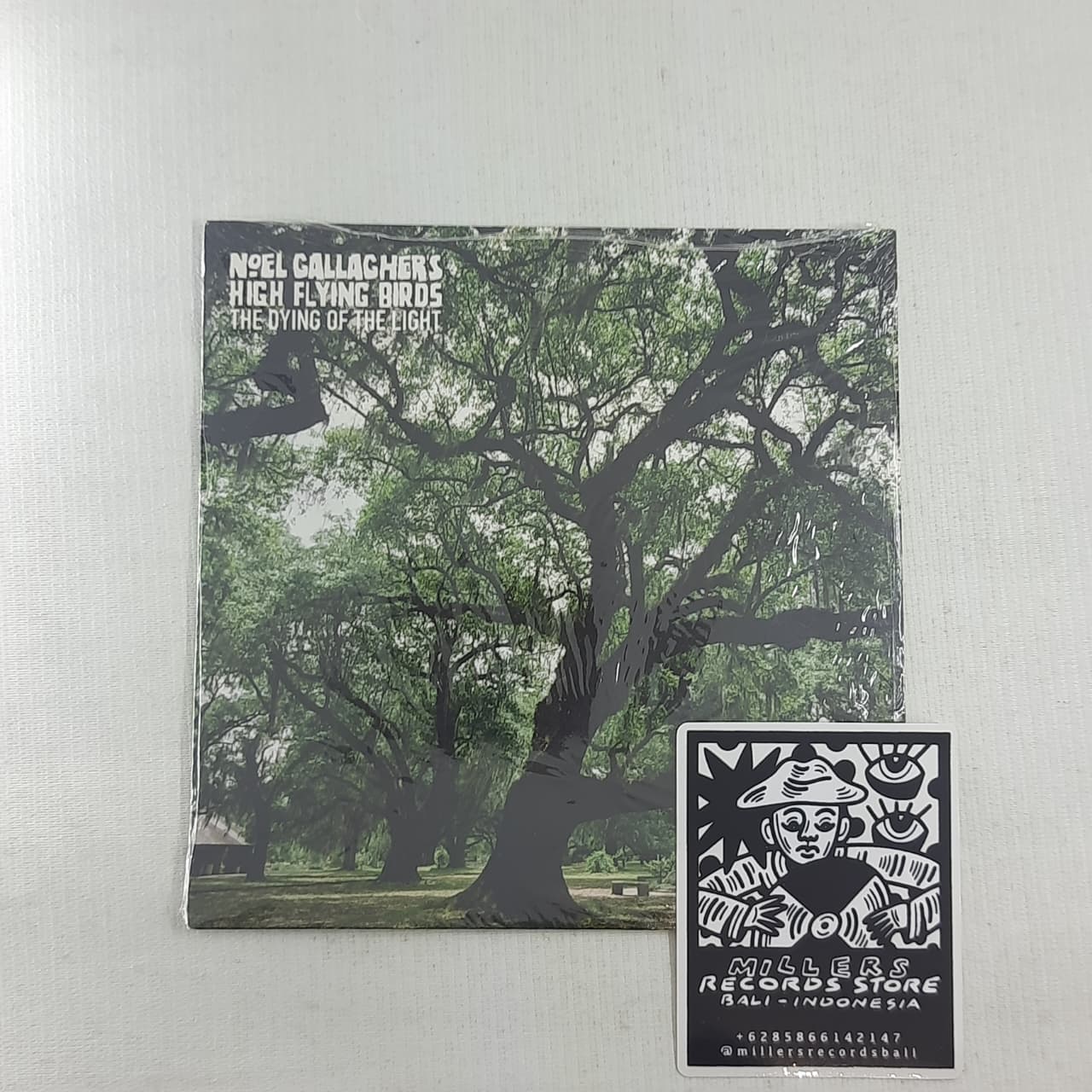 Noel Gallagher's High Flying Birds – The Dying Of The Light (VINYL / USED)