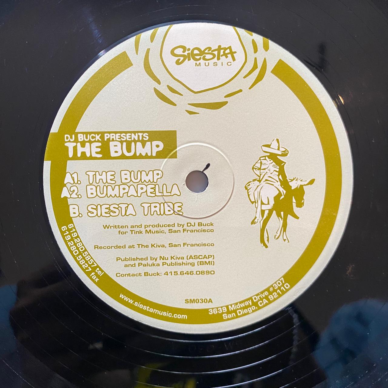 DJ Buck – The Bump (VINYL / USED)
