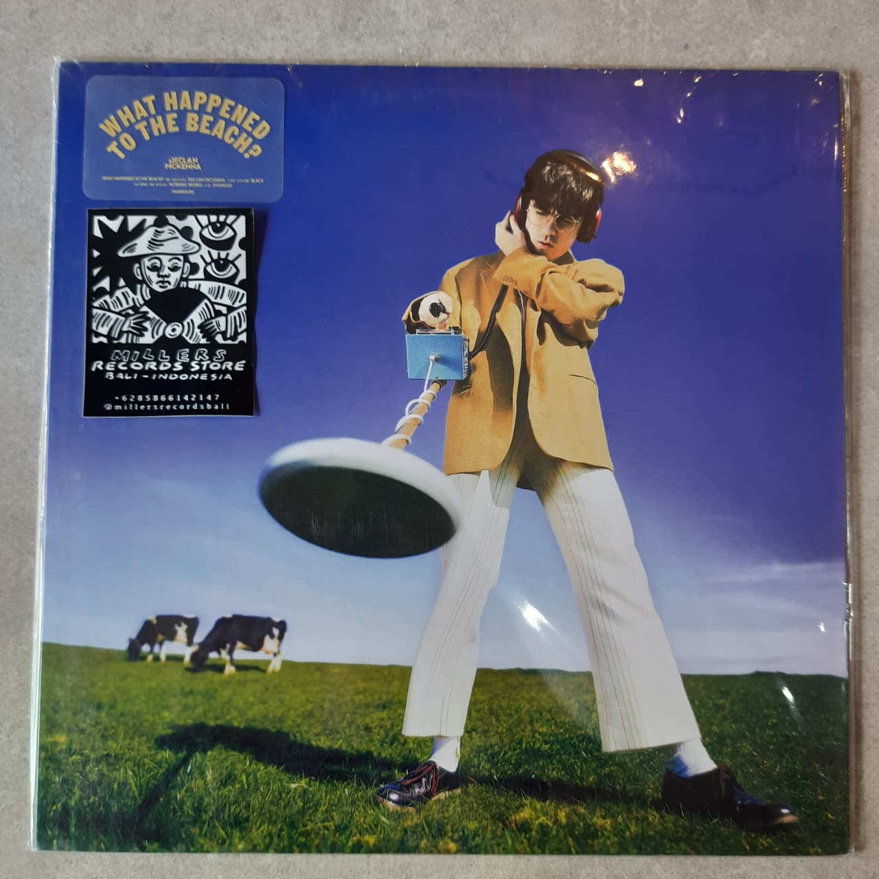 Declan McKenna – What Happened to the Beach? (VINYL / NEW SEALED)