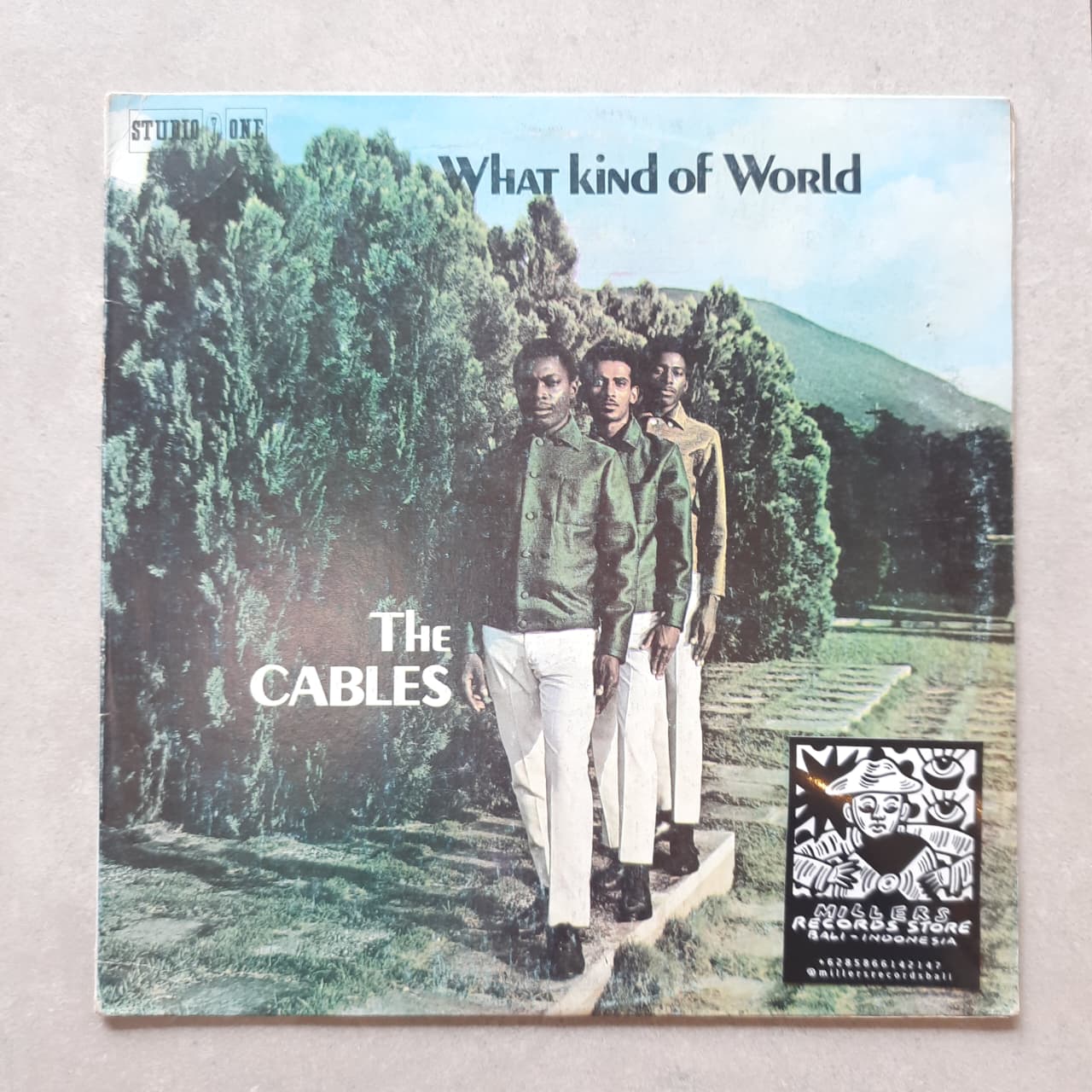The Cables – What Kind Of World (VINYL / USED)