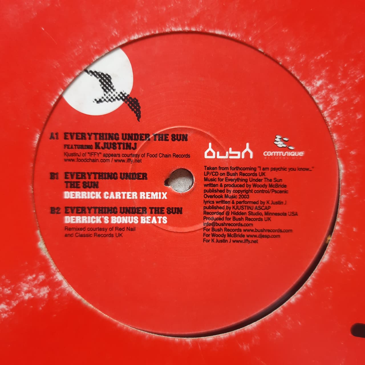 ESP Woody McBride – Everything Under The Sun (VINYL / USED)