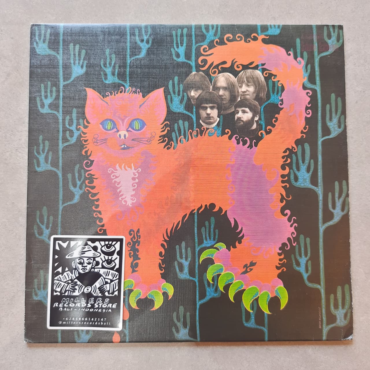 Pussy – Pussy Plays (VINYL / USED)