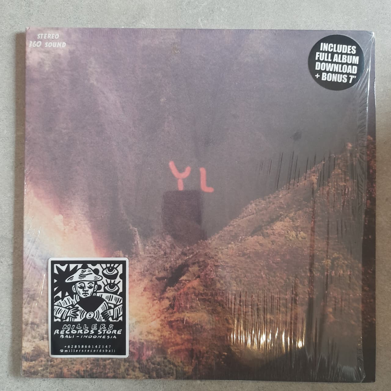 Youth Lagoon – The Year Of Hibernation (VINYL / USED)