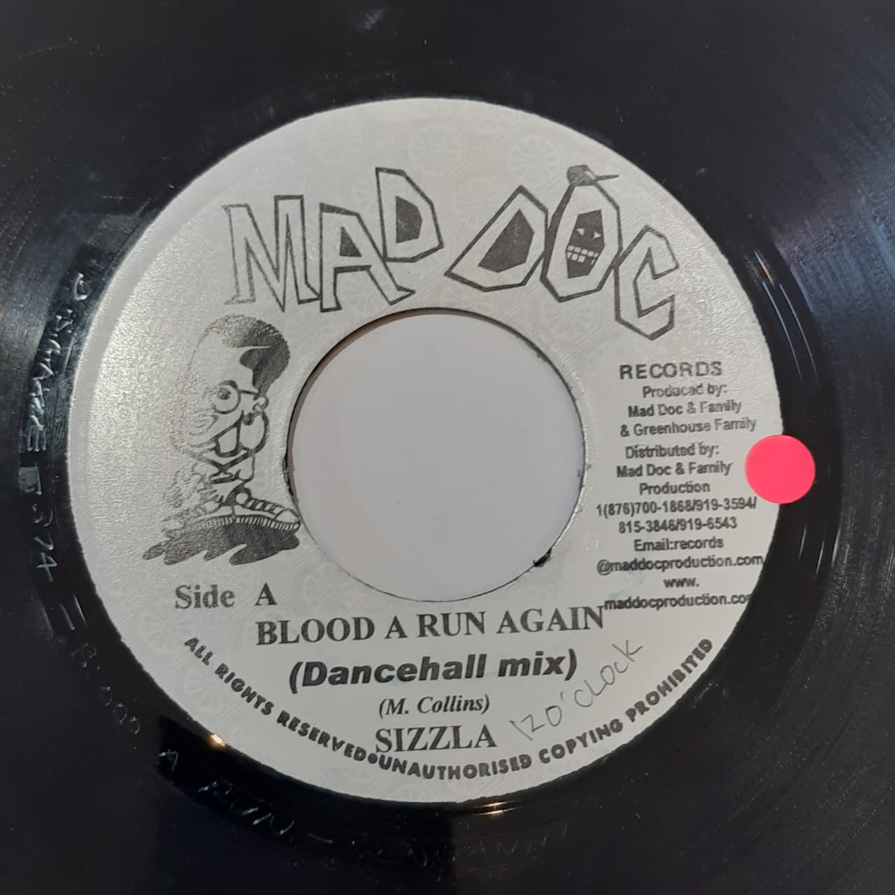Sizzla – Blood A Run Again (VINYL / USED)