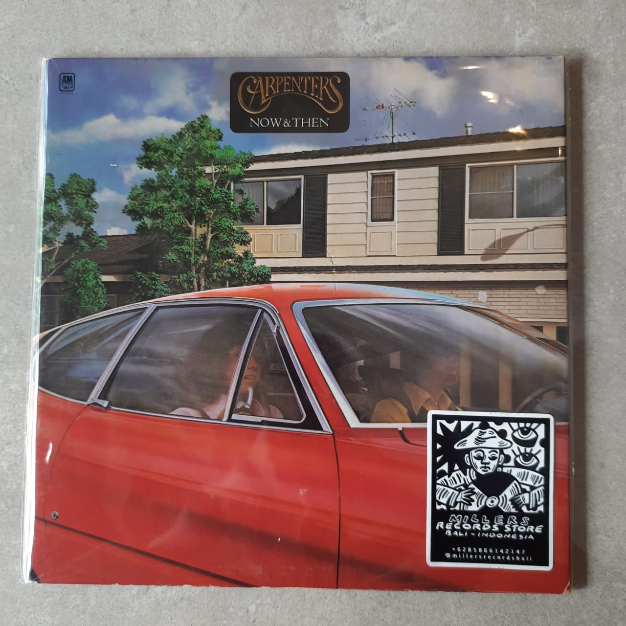 Carpenters – Now & Then (VINYL / USED)
