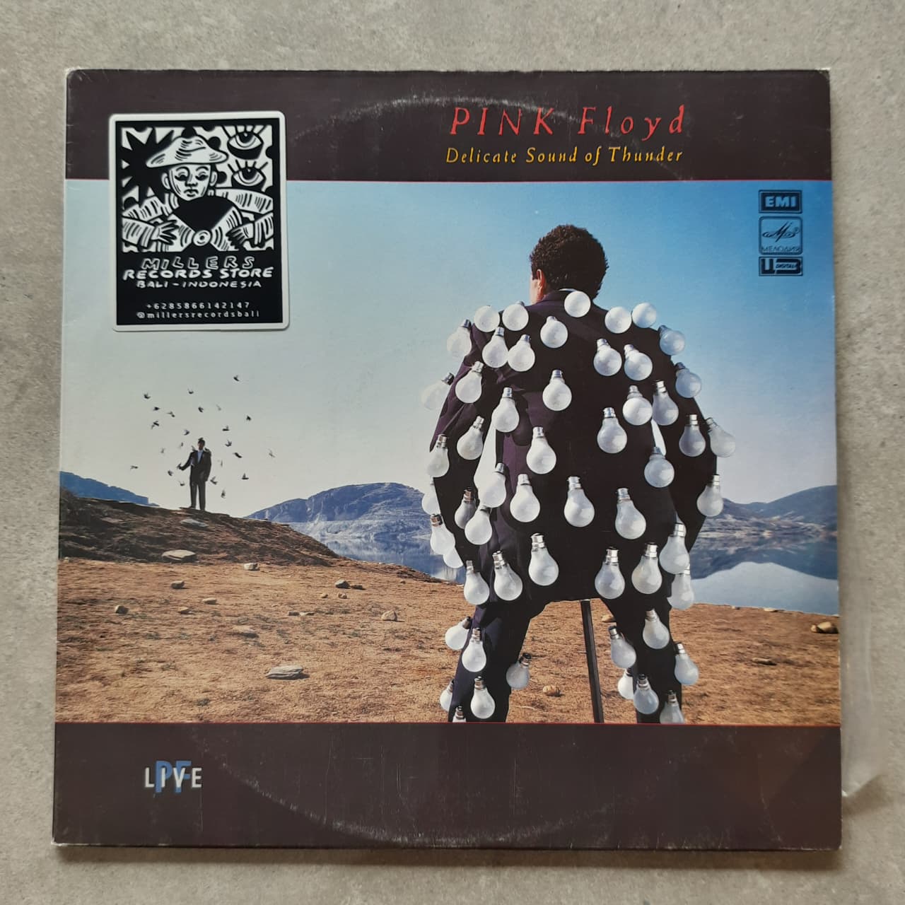 Pink Floyd – Delicate Sound Of Thunder (VINYL / USED)