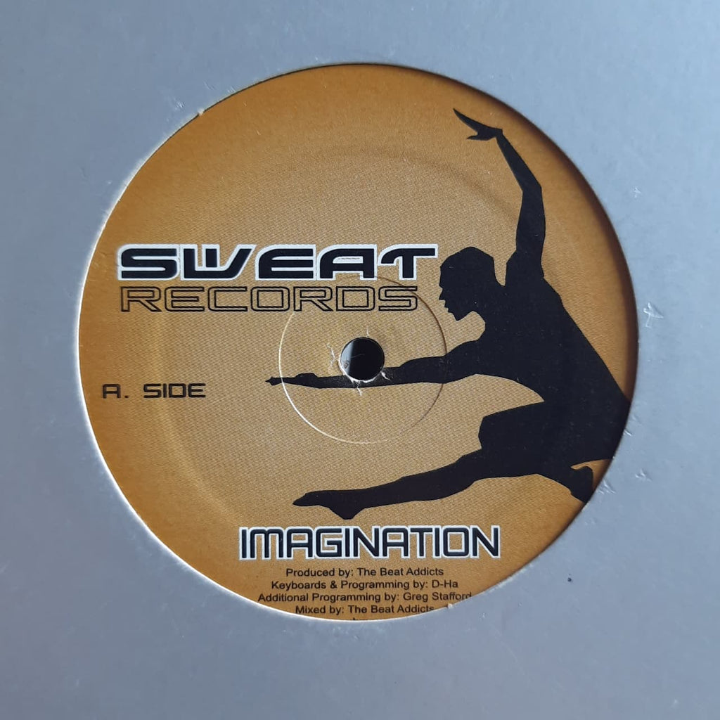 The Beat Addicts – Imagination (VINYL / USED)