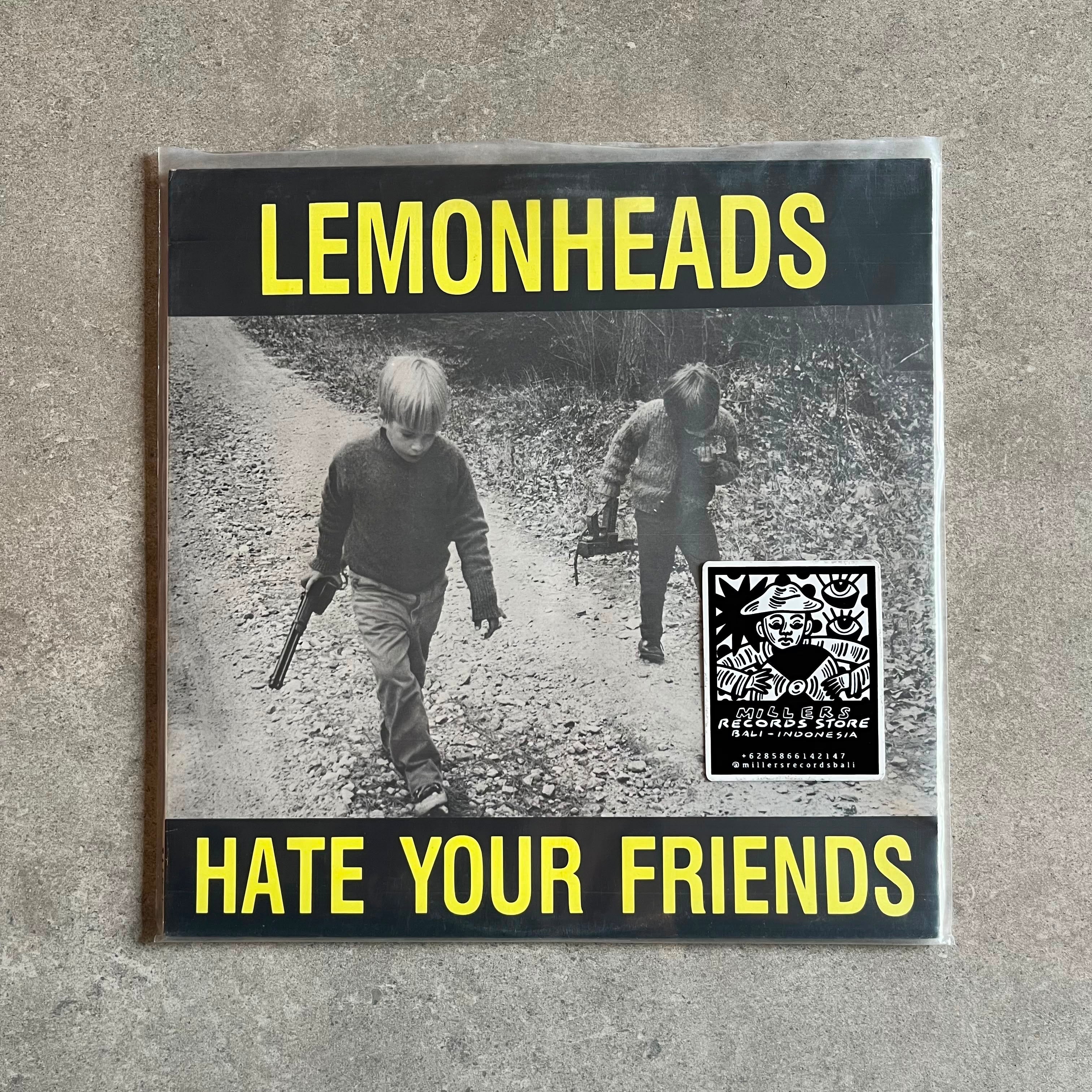 Lemonheads – Hate Your Friends (VINYL / USED)