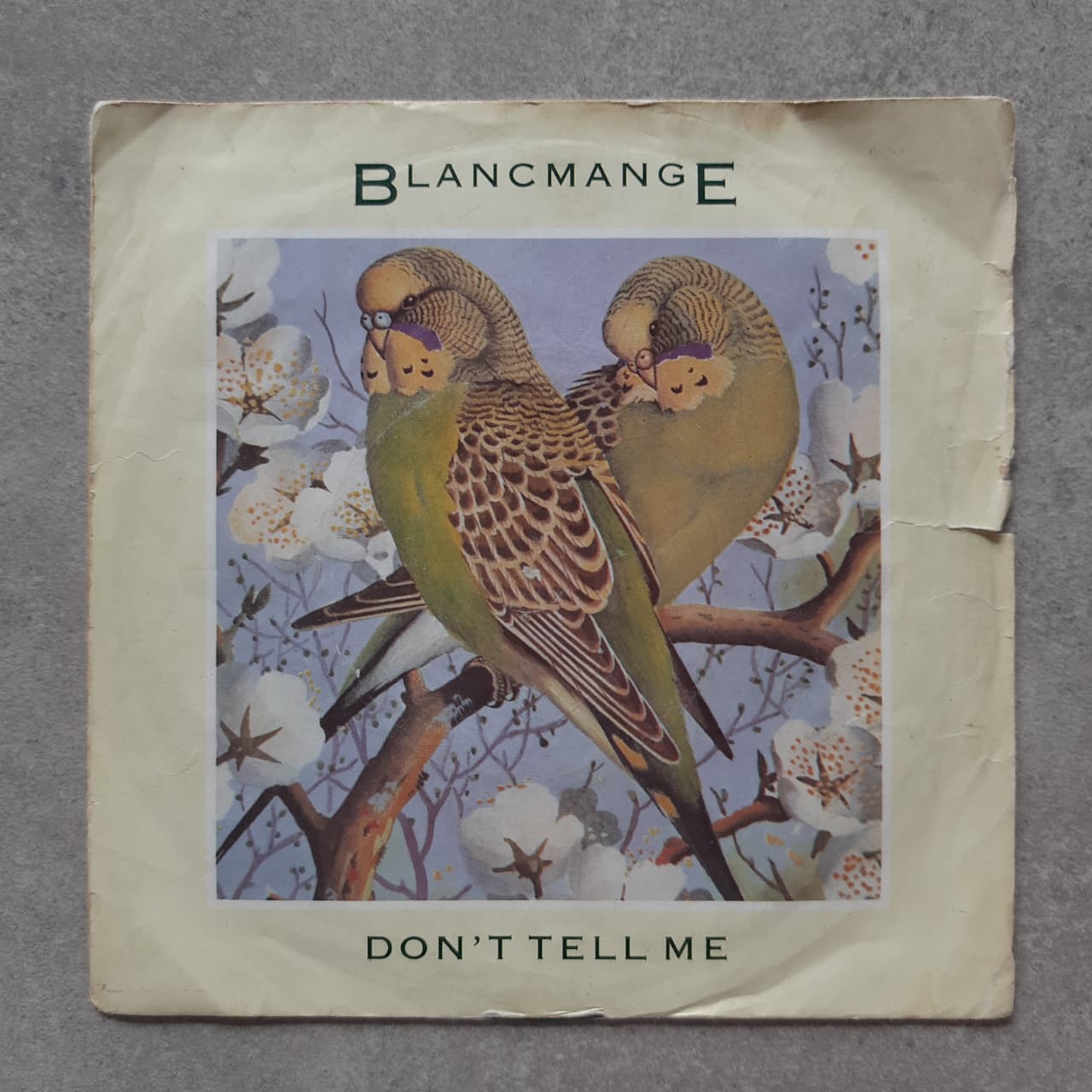 Blancmange – Don't Tell Me (VINYL / USED)