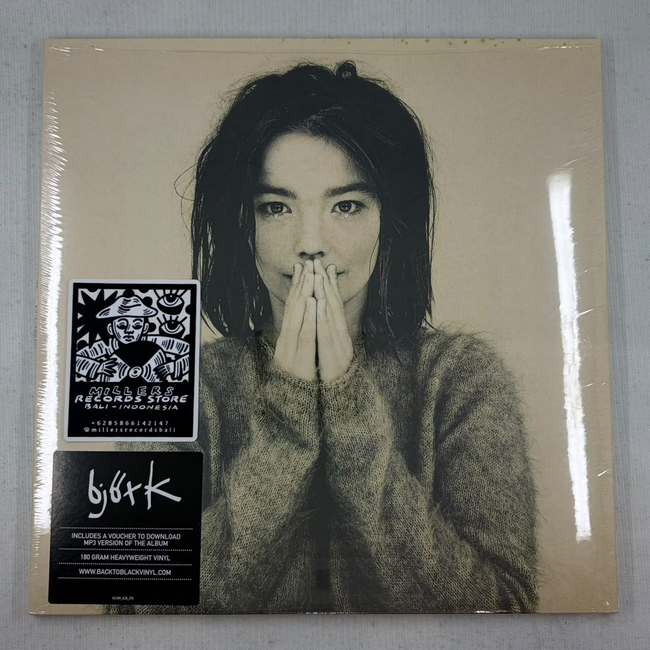 Björk – Debut (VINYL / USED)