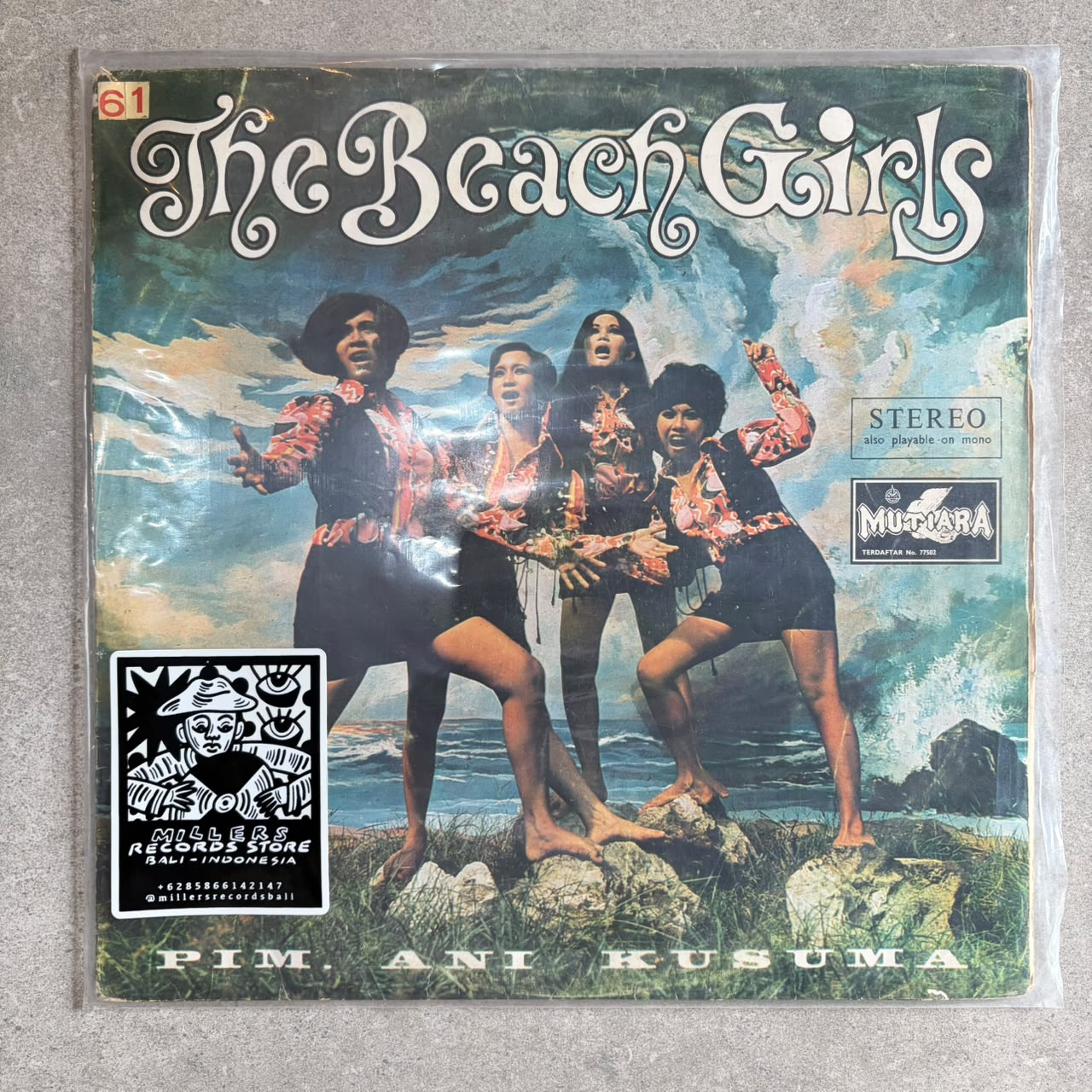The Beach Girls – The Beach Girl (VINYL / USED)