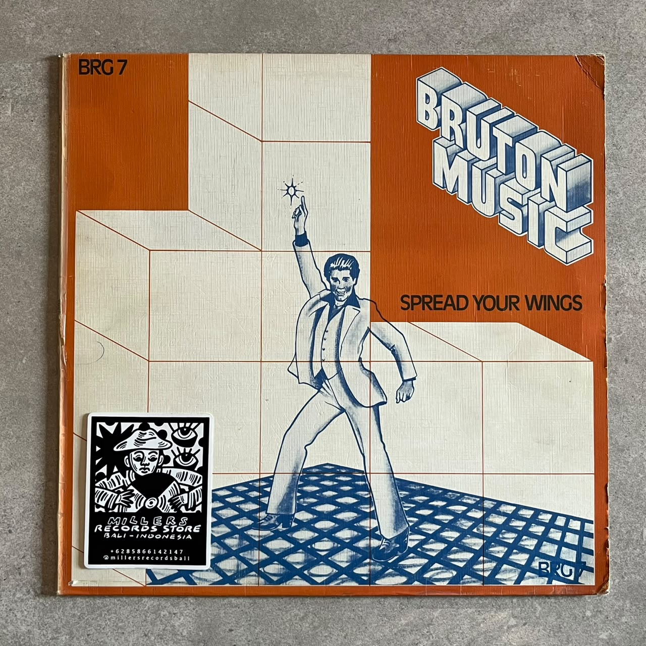 Various – Spread Your Wings (VINYL / USED)