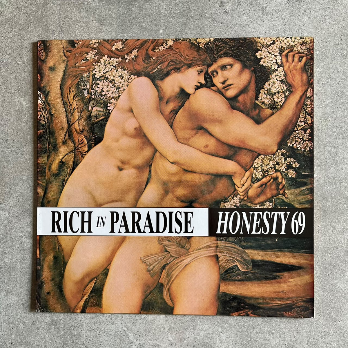 Honesty 69 – Rich In Paradise (VINYL / USED)