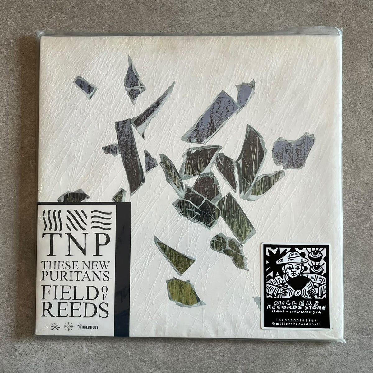 These New Puritans – Field Of Reeds (VINYL / USED)