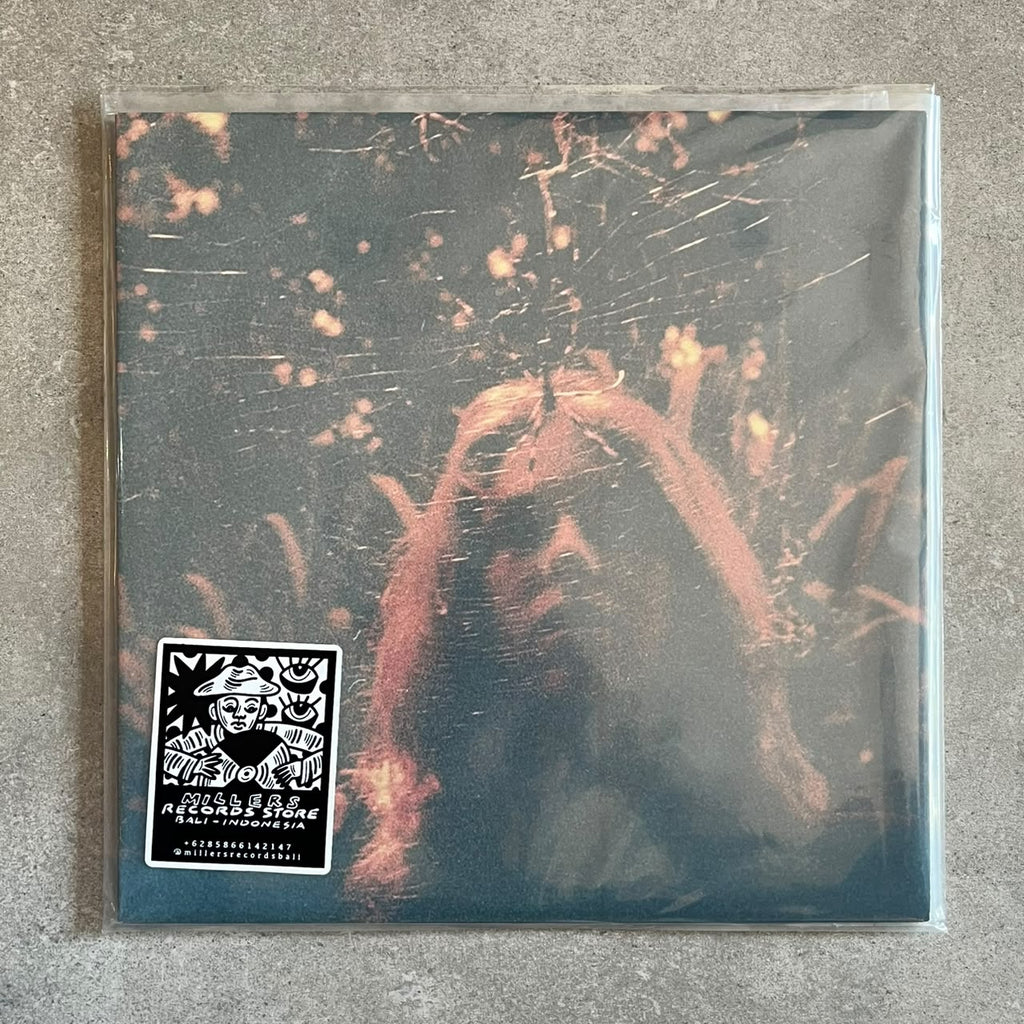 Turnover – Peripheral Vision (VINYL / USED)