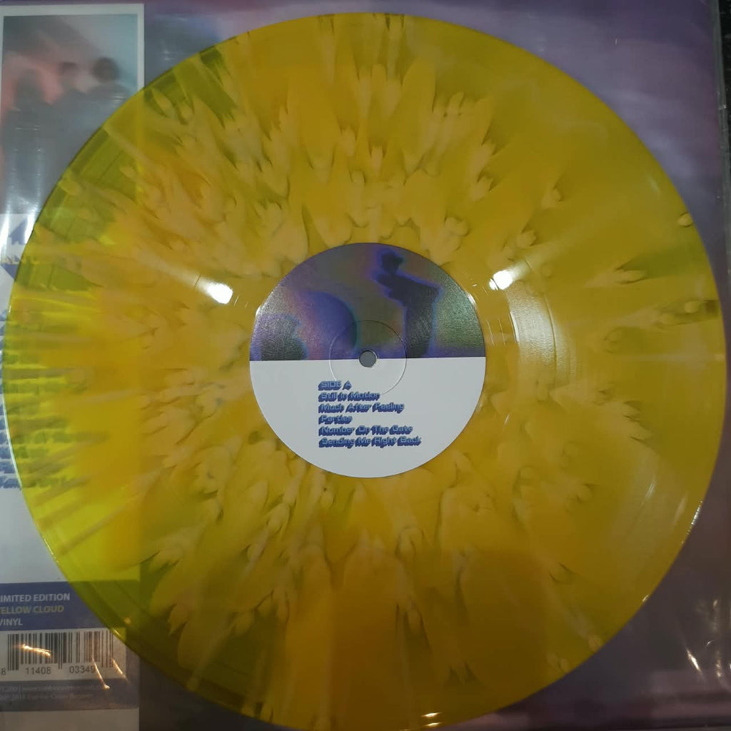 Turnover – Altogether (VINYL / USED)