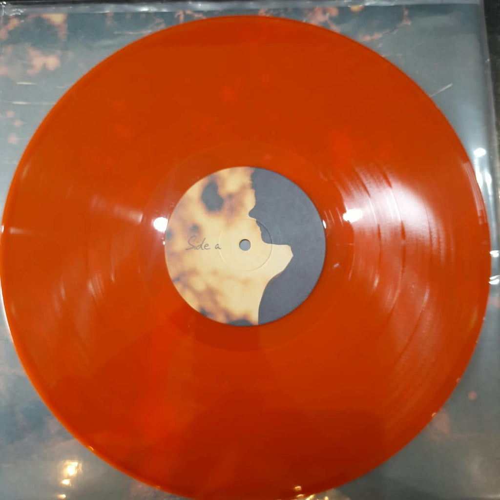 Turnover – Peripheral Vision (VINYL / USED)