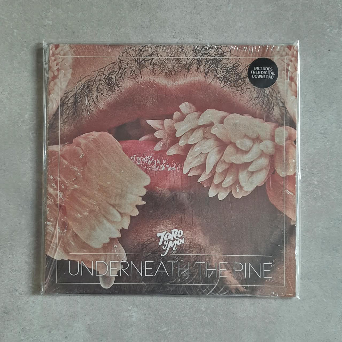 Toro Y Moi – Underneath The Pine (VINYL / USED)