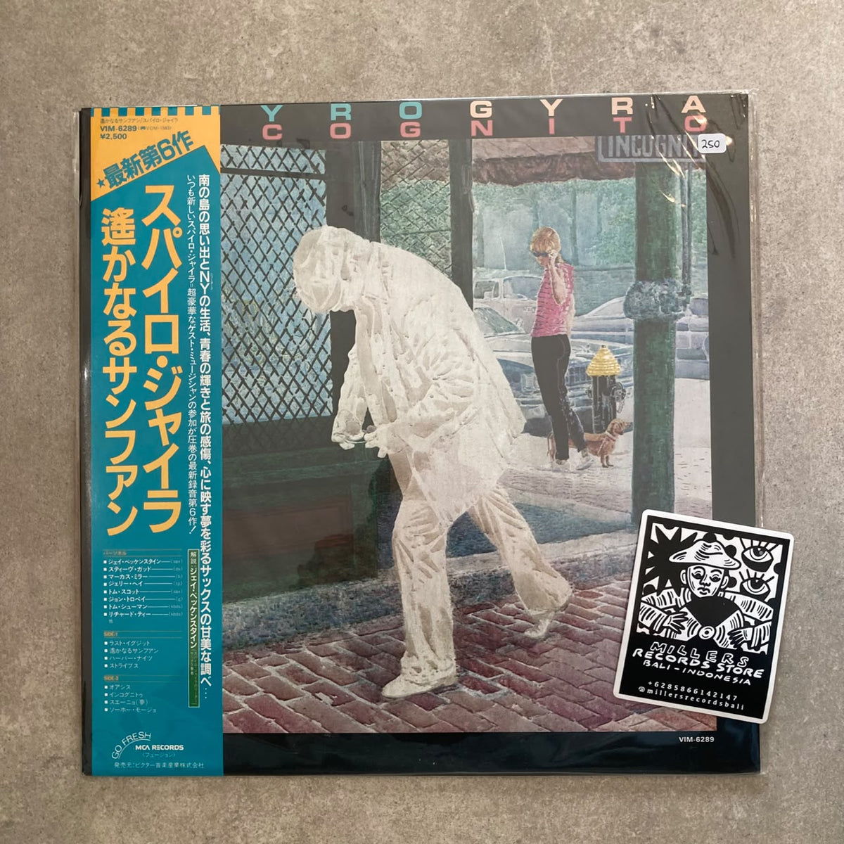 Spyro Gyra – Incognito (VINYL/USED)